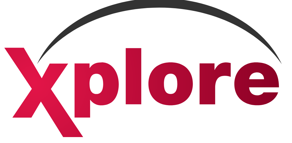 Auslandsaufenthalt, Gastunternehmen